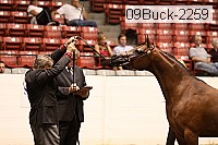 09buck-2259 proof
