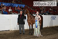09buck-2261 proof
