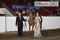 09buck-2262 proof