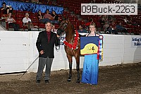 09buck-2263 proof