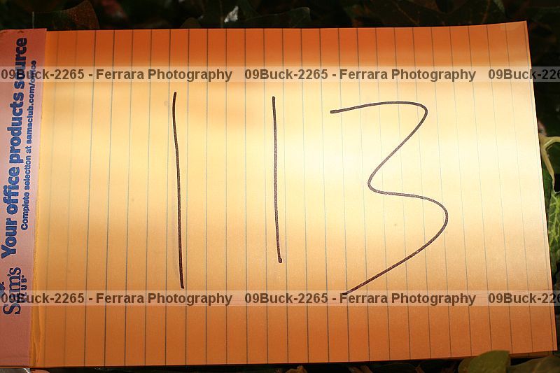 Proof 09buck-2265