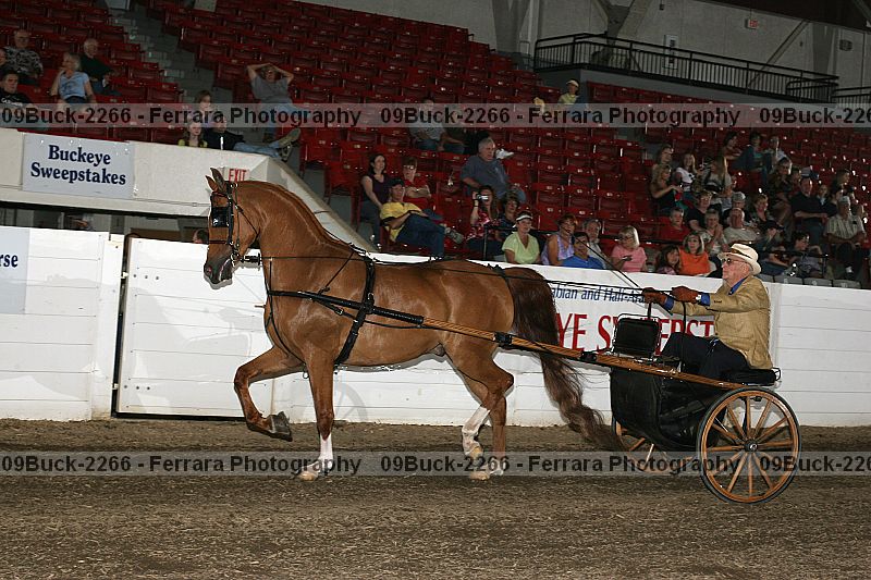 Proof 09buck-2266