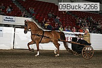 09buck-2266 proof