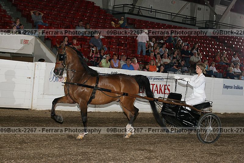 Proof 09buck-2267