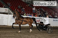 09buck-2267 proof