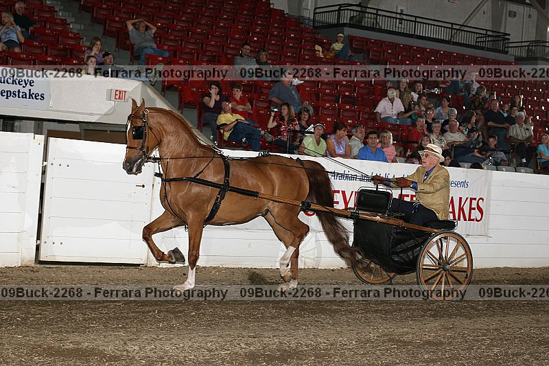 Proof 09buck-2268