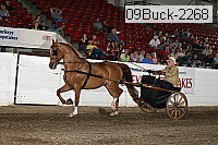09buck-2268 proof
