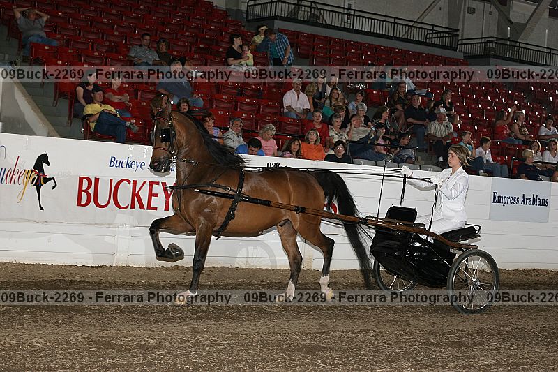 Proof 09buck-2269
