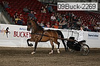 09buck-2269 proof