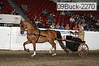 09buck-2270 proof