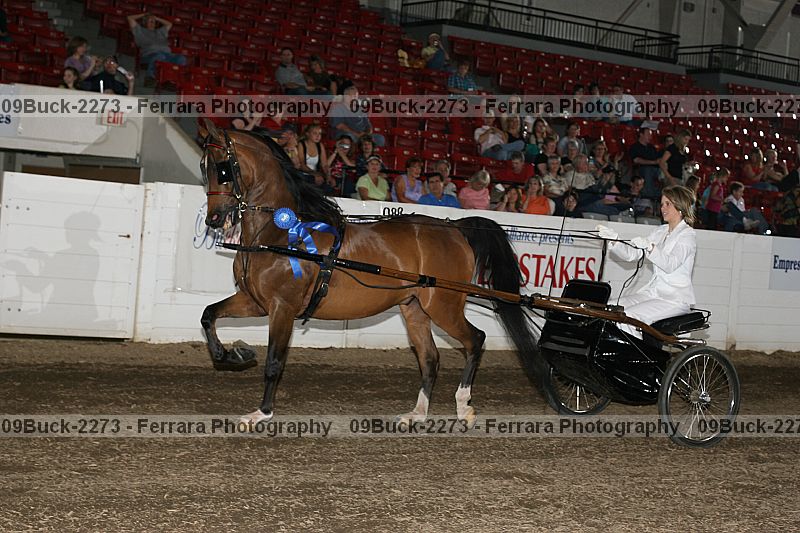 Proof 09buck-2273