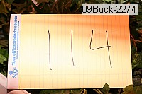 09buck-2274 proof