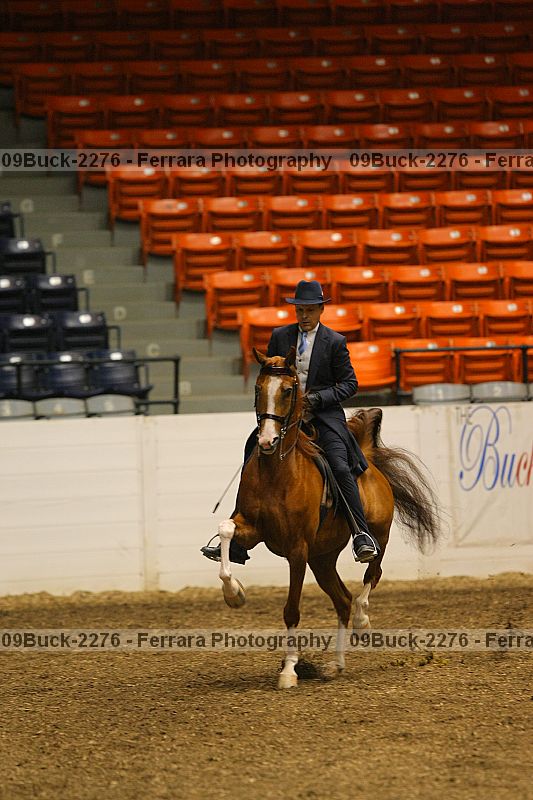 Proof 09buck-2276
