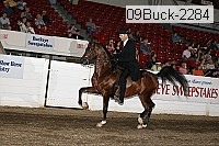 09buck-2284 proof