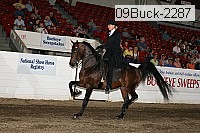 09buck-2287 proof