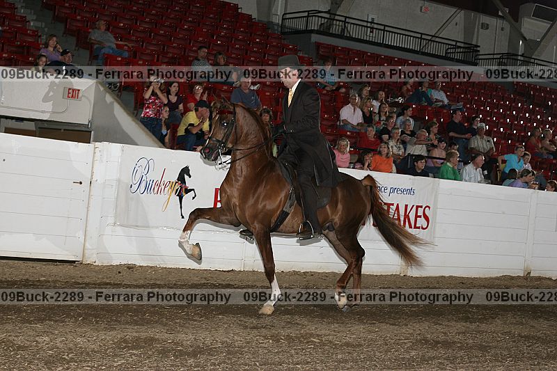 Proof 09buck-2289