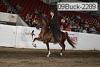 09buck-2289 proof