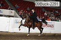 09buck-2291 proof