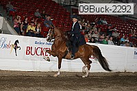 09buck-2292 proof