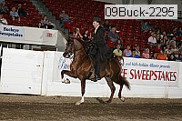 09buck-2295 proof