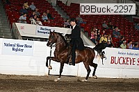 09buck-2297 proof