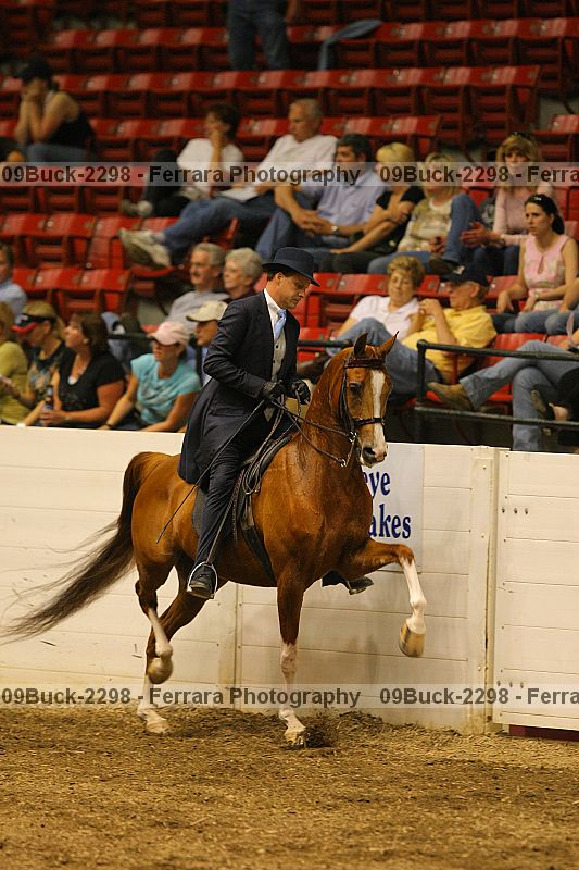Proof 09buck-2298