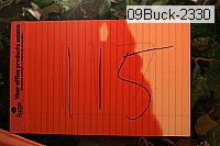 09buck-2330 proof