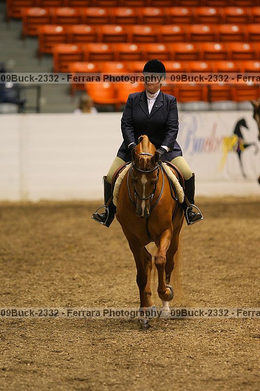 Proof 09buck-2332