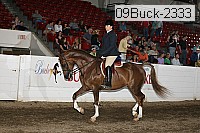 09buck-2333 proof