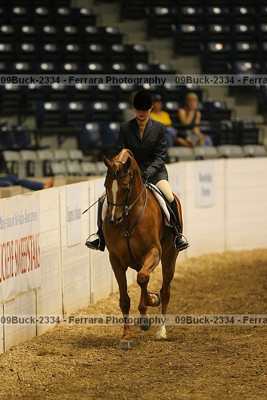 Proof 09buck-2334