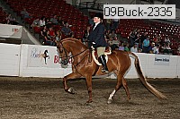 09buck-2335 proof
