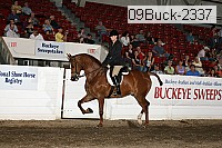 09buck-2337 proof