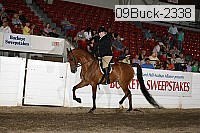 09buck-2338 proof