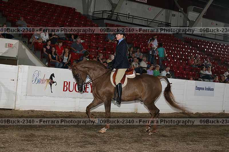 Proof 09buck-2340