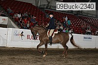 09buck-2340 proof