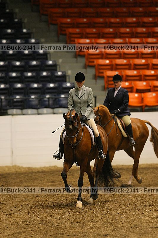 Proof 09buck-2341