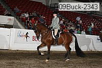 09buck-2343 proof