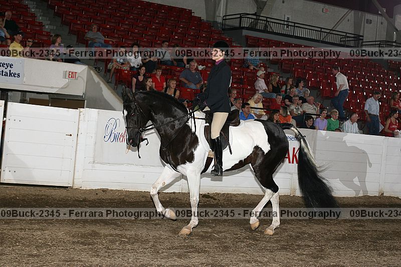 Proof 09buck-2345