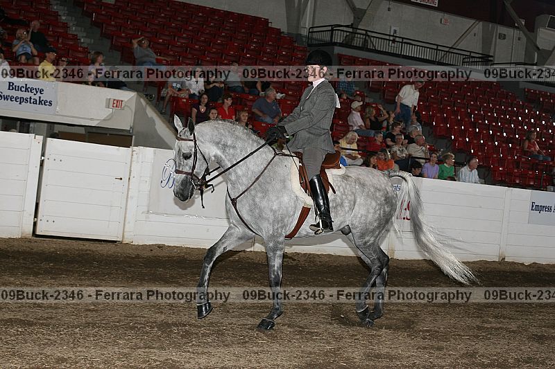 Proof 09buck-2346