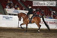 09buck-2348 proof
