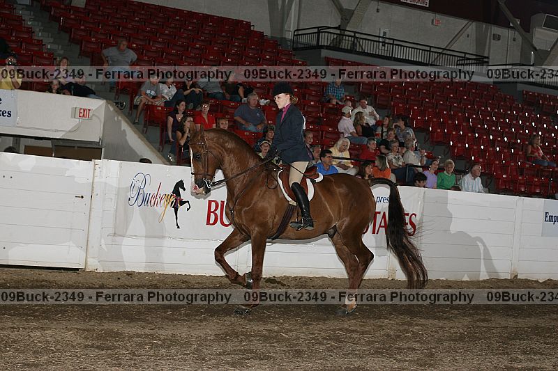 Proof 09buck-2349