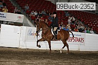 09buck-2352 proof