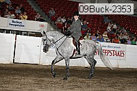 09buck-2353 proof