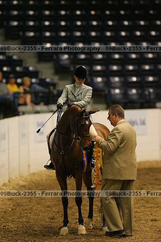 Proof 09buck-2355