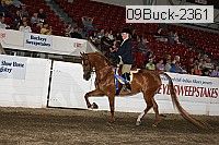 09buck-2361 proof
