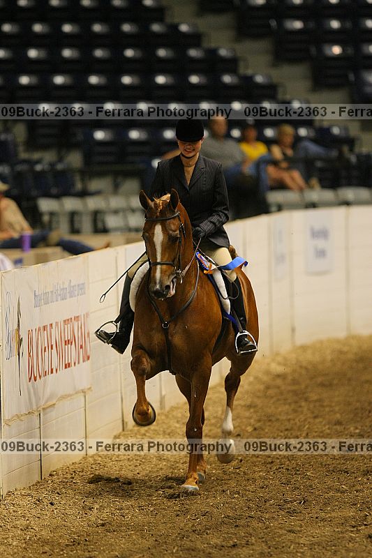 Proof 09buck-2363