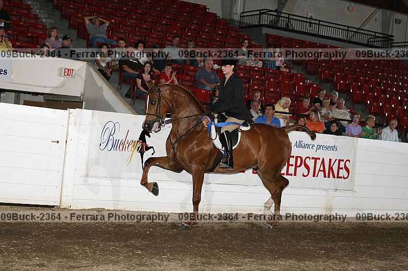 Proof 09buck-2364
