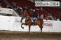 09buck-2364 proof