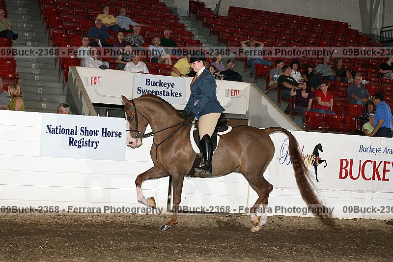 Proof 09buck-2368