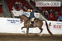 09buck-2368 proof